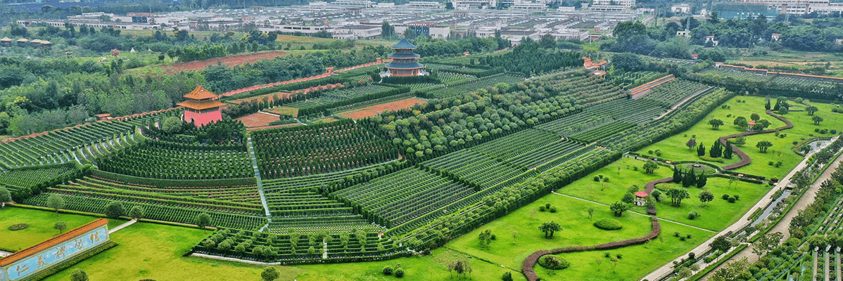 金沙陵园实景6